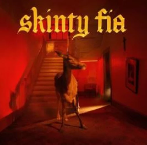 Fontaines D.C. - Skinty Fia lyrics