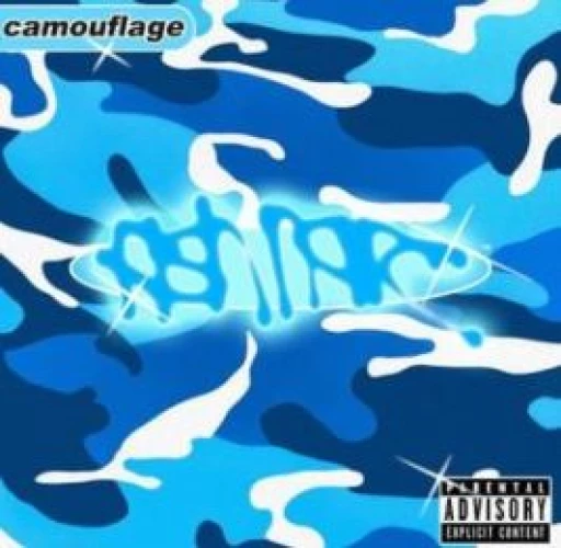 Fish Narc - Camouflage lyrics
