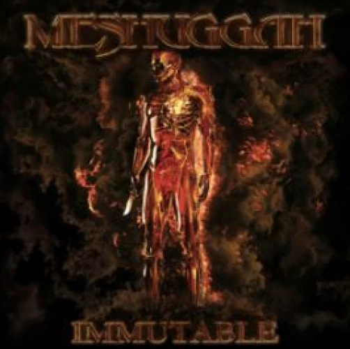 Meshuggah - Immutable lyrics