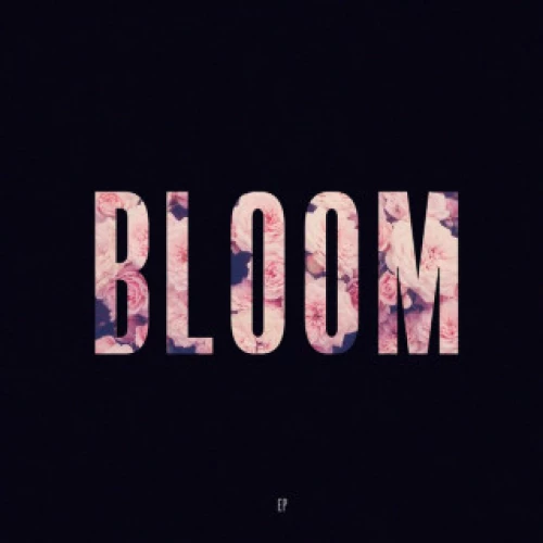 Bloom lyrics