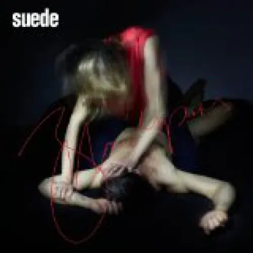 Suede - Bloodsports lyrics