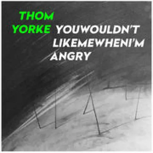 Thom Yorke - Youwouldn'tlikemewhenI'mangry lyrics