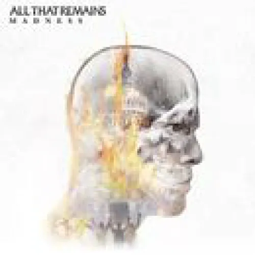 All That Remains - Madness lyrics