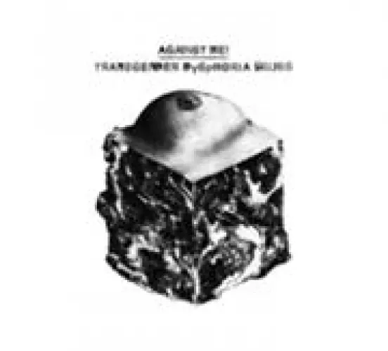 Against Me! - Transgender Dysphoria Blues lyrics