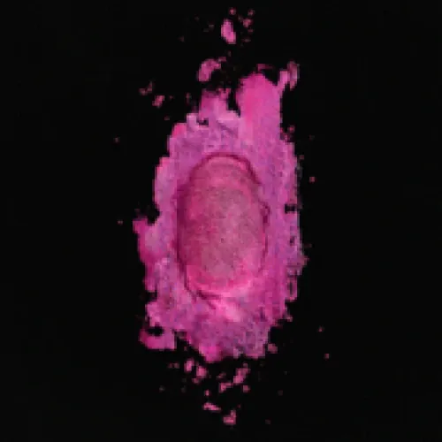 Nicki Minaj - The Pink Print lyrics