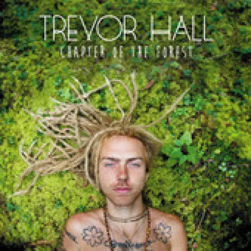 Trevor Hall - Chapter Of The Forest lyrics