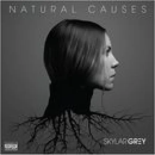 Skylar Grey - Natural Causes lyrics