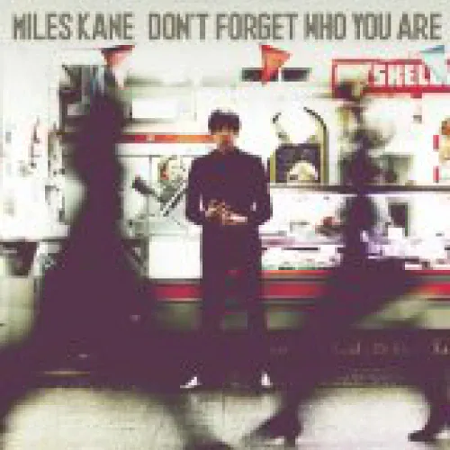 Miles Kane - Don't Forget Who You Are lyrics