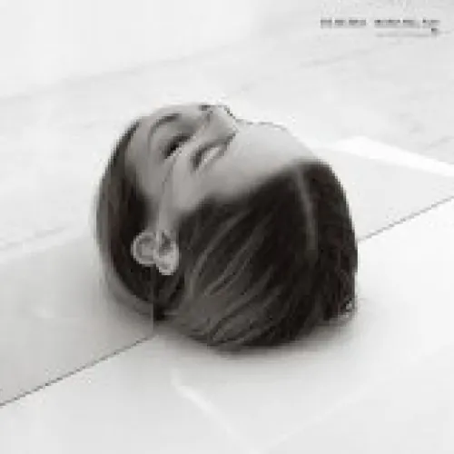 The National - Trouble Will Find Me lyrics