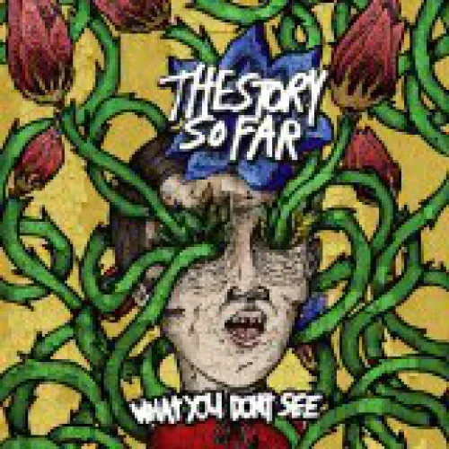 The Story So Far - What You Don't See lyrics