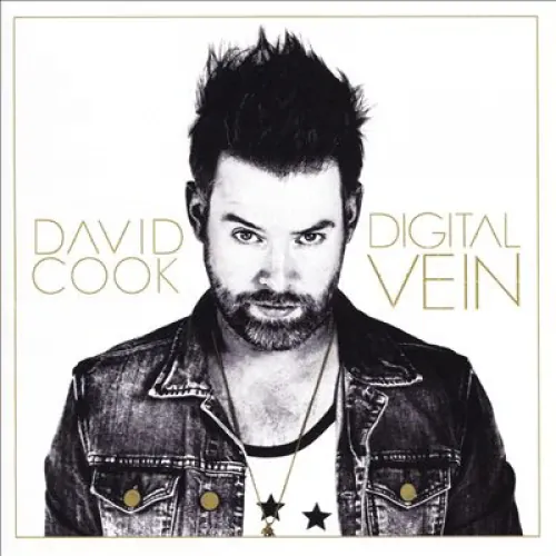David Cook - Digital Vein lyrics