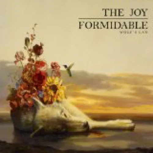 The Joy Formidable - Wolf's Law lyrics