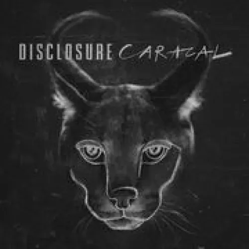 Disclosure - Caracal lyrics