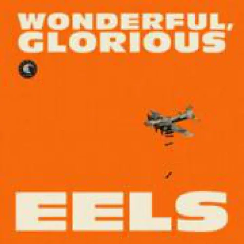 Eels - Wonderful, Glorious lyrics