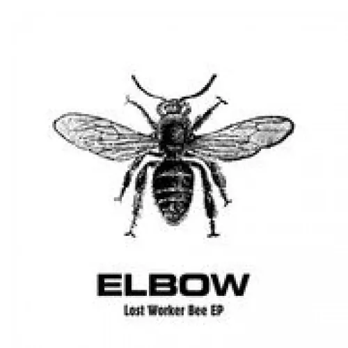 Elbow - Lost Worker Bee lyrics