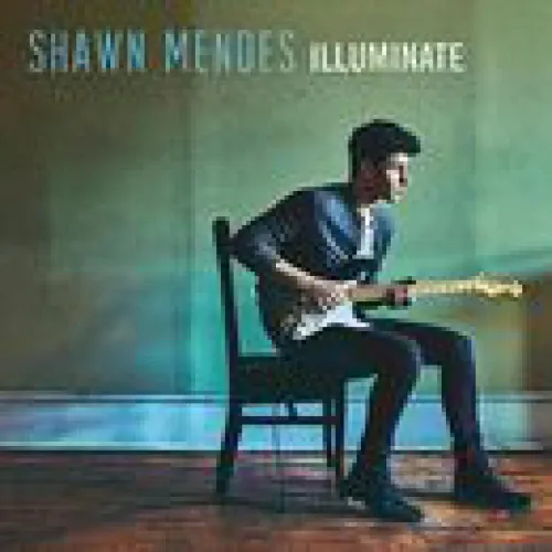 Shawn Mendes - Illuminate lyrics