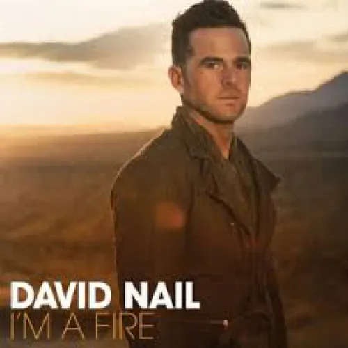 David Nail - I'm A Fire lyrics