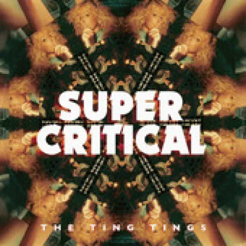 The Ting Tings - Super Critical lyrics