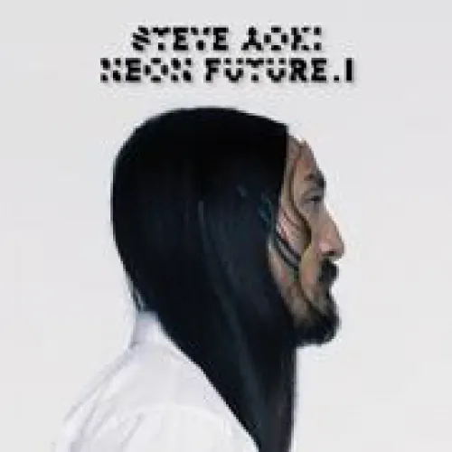 Steve Aoki - Neon Future I lyrics