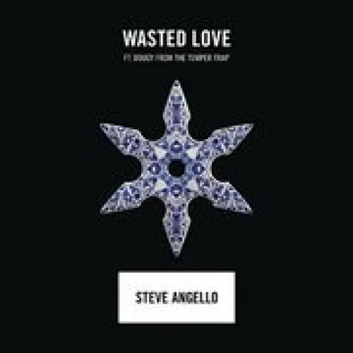 Steve Angello - Wasted Love lyrics
