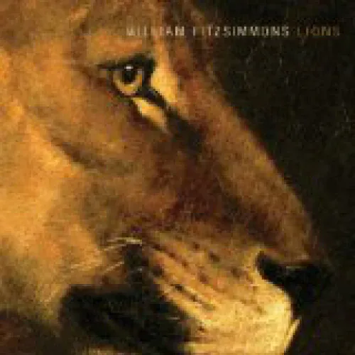 William Fitzsimmons - Lions lyrics