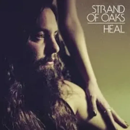 Strand of Oaks - Heal lyrics