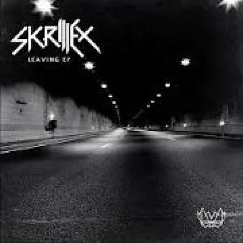 Skrillex - Leaving lyrics