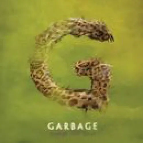 Garbage - Strange Little Birds lyrics