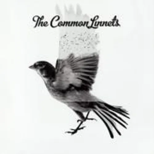 The Common Linnets - The Common Linnets lyrics