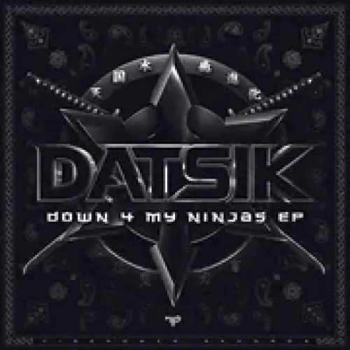 DatsiK - Down 4 My Ninjas lyrics