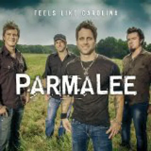 Parmalee - Feels Like Carolina lyrics