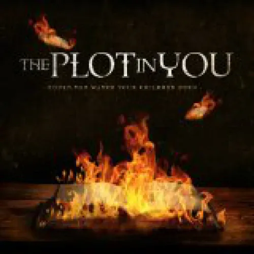The Plot In You - Could You Watch Your Children Burn lyrics