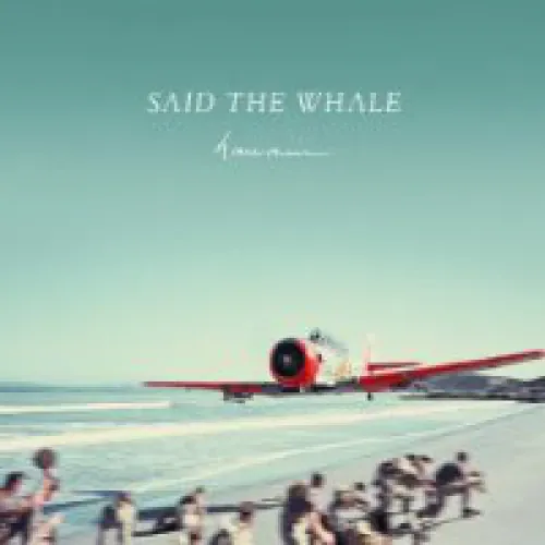 Said The Whale - Hawaiii lyrics