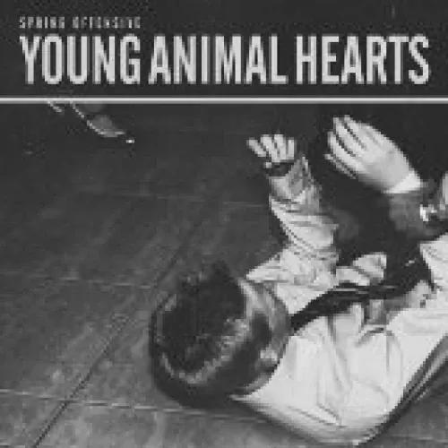 Spring Offensive - Young Animal Hearts lyrics