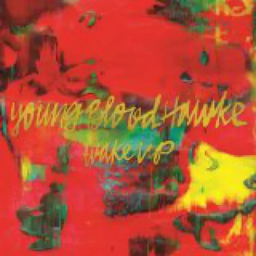 Youngblood Hawke - Wake up lyrics