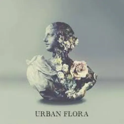 Alina Baraz and Galimatias - Urban Flora lyrics