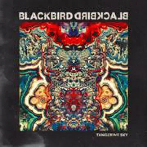 Blackbird Blackbird - Tangerine Sky lyrics