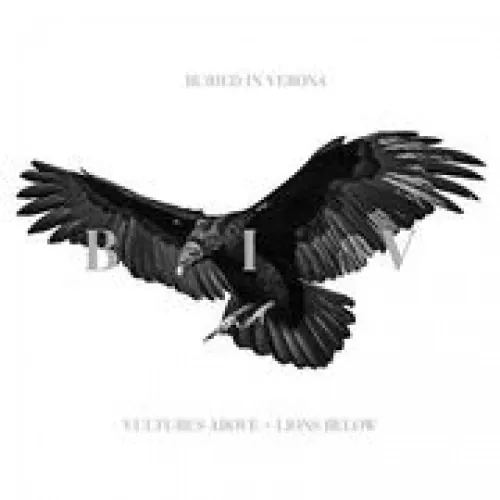 Buried in Verona - Vultures Above, Lions Below lyrics