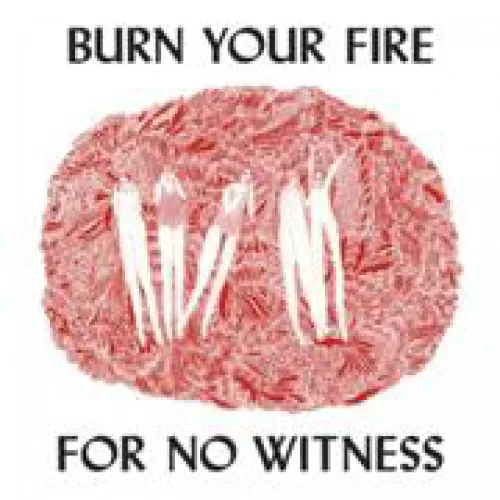 Burn Your Fire For No Witness lyrics