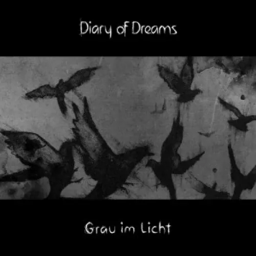 Diary Of Dreams - Grau im Licht lyrics