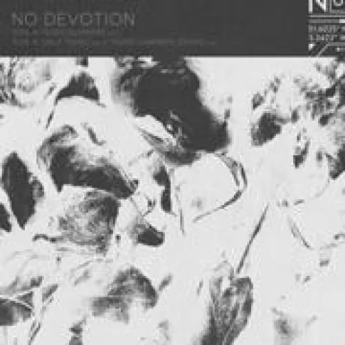 No Devotion - 10,000 Summers lyrics