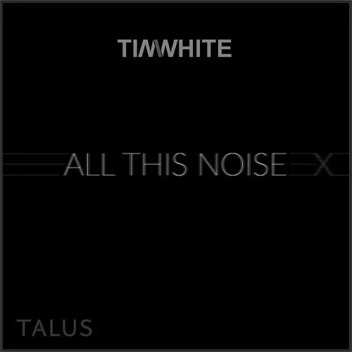 Tim White - All This Noise lyrics