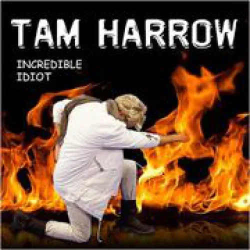 Tom Hooker - Incredible Idiot lyrics