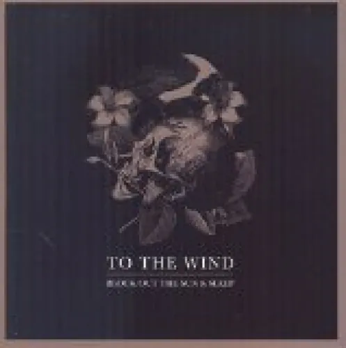 To The Wind - Block Out The Sun & Sleep lyrics