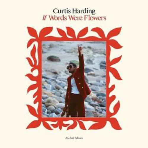 Curtis Harding - If Words Were Flowers lyrics