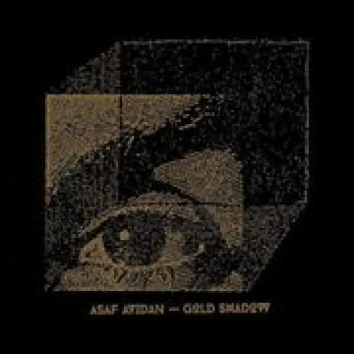 Asaf Avidan - Gold Shadow lyrics