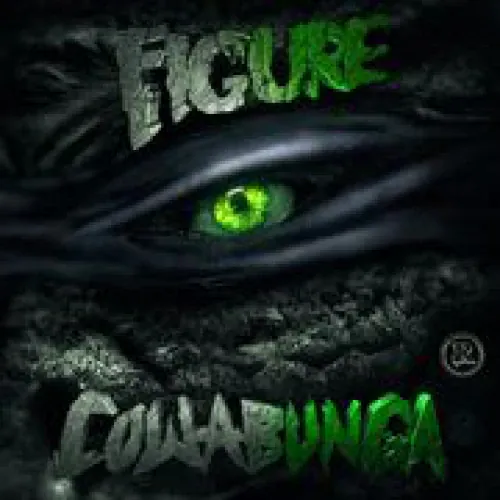 Figure - Cowabunga lyrics