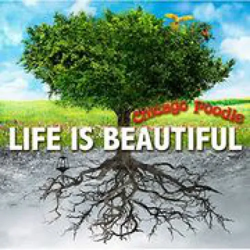 Life is Beautiful lyrics