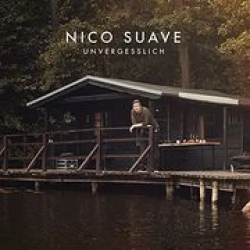 Nico Suave - Unvergesslich lyrics