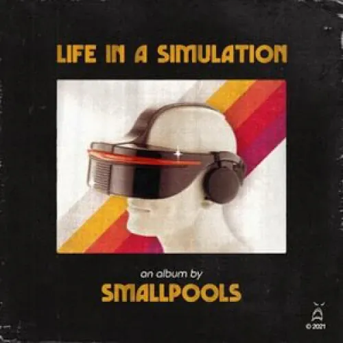 Smallpools - Life in a Simulation lyrics